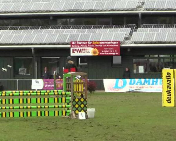 Großes Reit- und Springturnier Heiden 2015