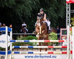 dressage horse Becks Gold (Hanoverian, 2010, from Belissimo NRW)