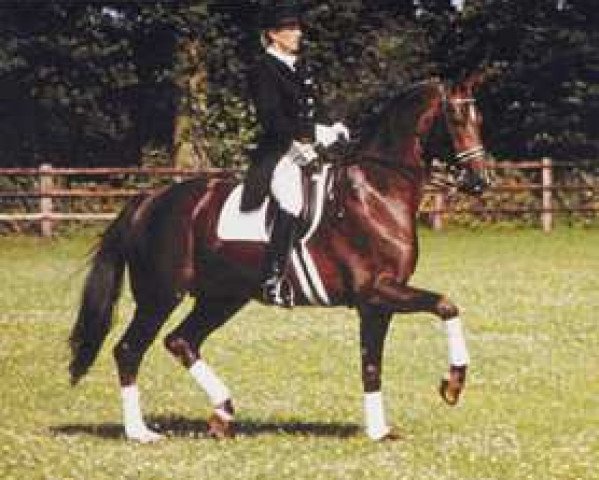 Pferd Don Gregory (Hannoveraner, 1988, von Donnerhall)