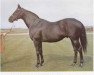 horse Tudor Melody xx (Thoroughbred, 1956, from Tudor Minstrel xx)
