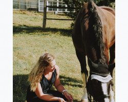 dressage horse Royal Flash S 2 (Hanoverian, 2006, from Rascalino)