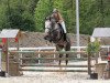 jumper Champ M (Hanoverian, 2005, from Calido I)