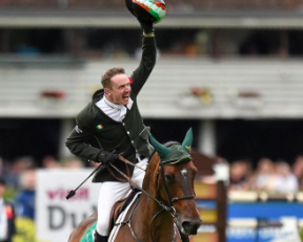 jumper Mhs Going Global (Irish Sport Horse, 2006, from Quidam Junior)
