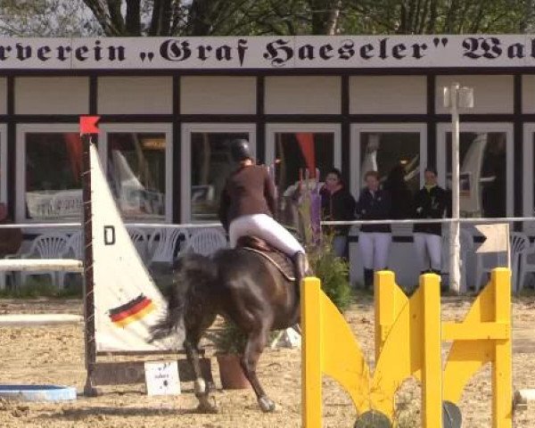 Spenge-Wallenbrück 2015
