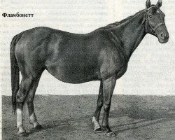 broodmare Flambonette xx (Thoroughbred, 1937, from Flamboyant xx)