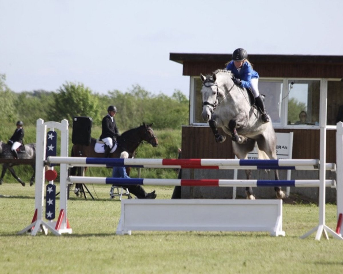 Pferd Comme Za (Holsteiner, 2014, von Carlos DZ)