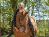 dressage horse Magic Namika (German Riding Pony, 2012, from Heidbergs Nancho Nova)