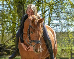 dressage horse Magic Namika (German Riding Pony, 2012, from Heidbergs Nancho Nova)