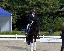 dressage horse Floriano 69 (German Sport Horse, 2017, from Fuechtels Floriscount OLD)