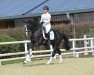 dressage horse Daiquiro Royal (Oldenburg, 2015, from Danciano)