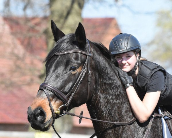 broodmare Fortuna (Hanoverian, 2012, from Fielmann)