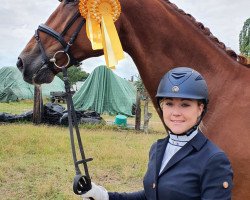 dressage horse Scolero (German Sport Horse, 2011, from Scolari)