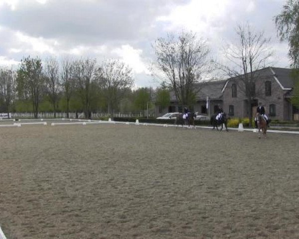 Greven Bockholt 2015