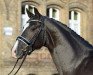 stallion Danestos (Westphalian, 2015, from Dante Weltino Old)