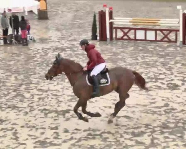 Leutkirch-Diepoldshofen 2015