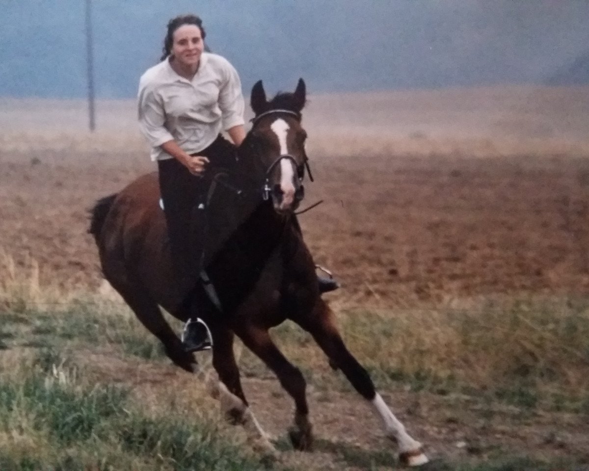 broodmare Gipsy (German Warmblood, 1978, from Apoll)