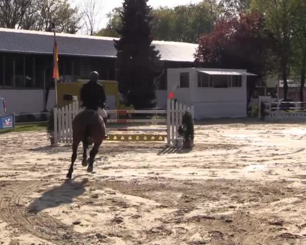 Greven Bockholt 2015