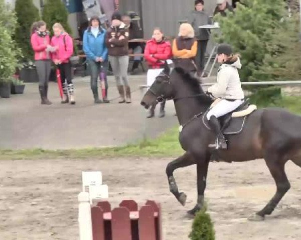Leutkirch-Diepoldshofen 2015