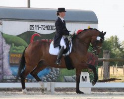 dressage horse Hobbit 20 (Hanoverian, 2005, from Hofrat)