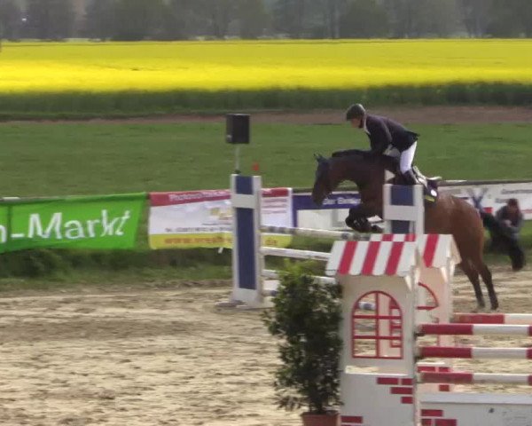 Reitturnier Xanten - Moermter 2015