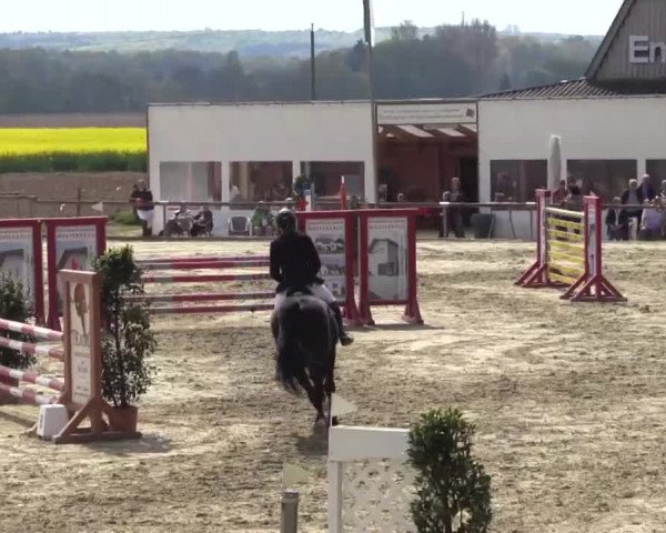 Reitturnier Xanten - Moermter 2015