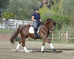 dressage horse Deleandra (Hannoveraner, 2000, from Del Piero)