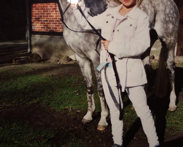 broodmare Beyonce (German Riding Pony, 2002, from Scampolo)