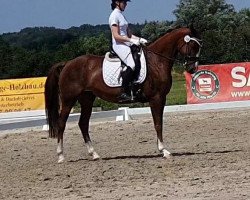 broodmare Floresty 3 (Westphalian, 2010, from Floresco NRW)