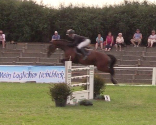 jumper Cadillac 54 (Oldenburg show jumper, 2009, from Contendro I)