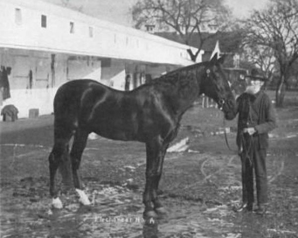 stallion Electioneer 125 (US) (American Trotter, 1868, from Hambletonian 10 (US))