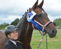 dressage horse Amie Petite (Westfale, 1997, from Azur de Paulstra)