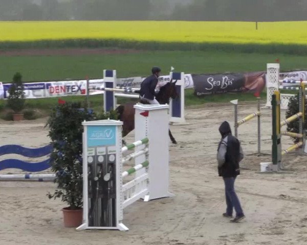 Reitturnier Xanten - Moermter 2015