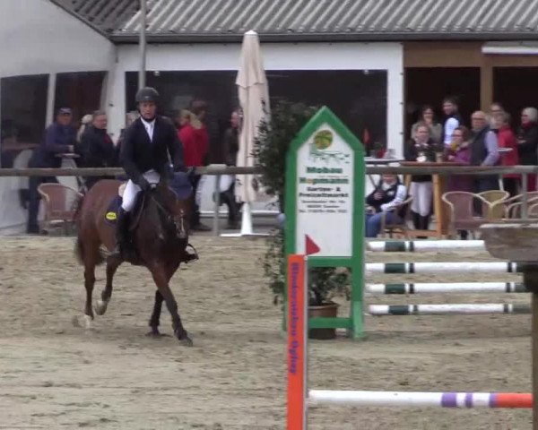Reitturnier Xanten - Moermter 2015