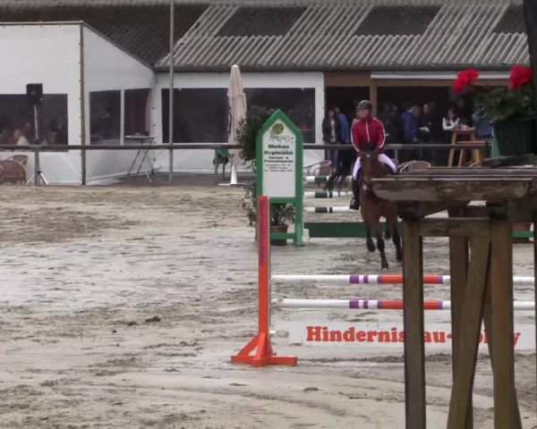 Reitturnier Xanten - Moermter 2015