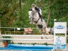 jumper Chico (German Sport Horse, 2015, from Cassoulet)