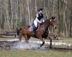 broodmare Galiläa (Trakehner, 2009, from Exclusiv)