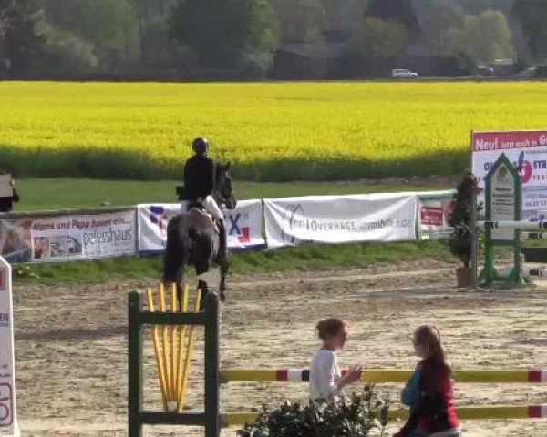 Reitturnier Xanten - Moermter 2015