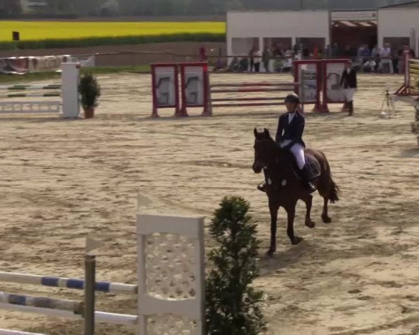 Reitturnier Xanten - Moermter 2015