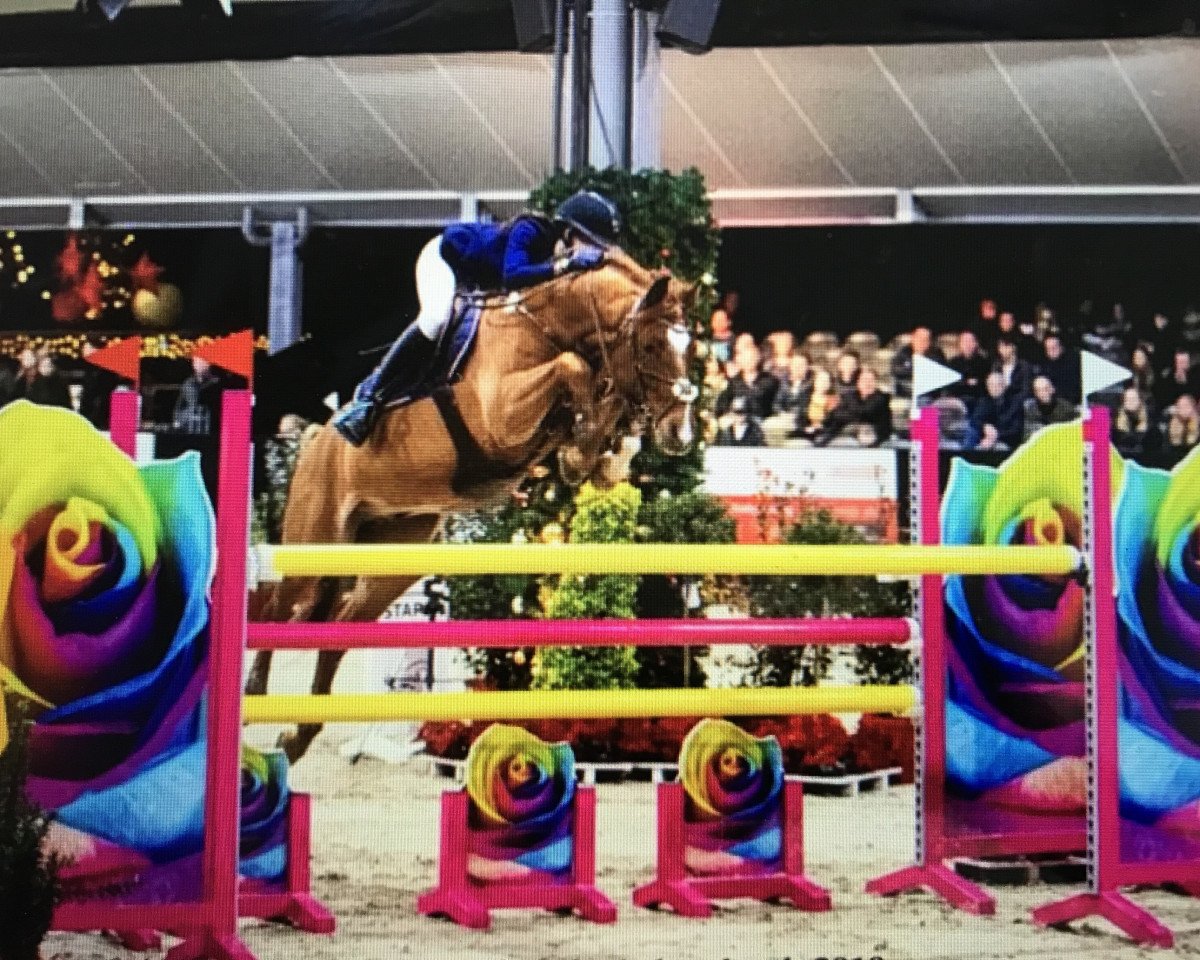 Springpferd Crazy Hardbreaker Sp WE (Deutsches Reitpony, 2008, von Charivari)
