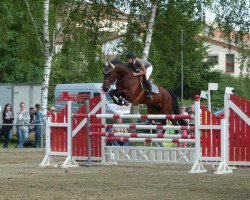 jumper Calvisano (Holsteiner, 2008, from Cebelio)