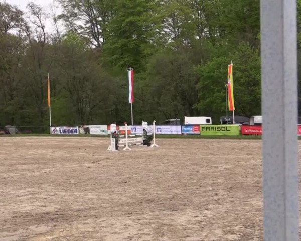 Dressur- und Springturnier Halver 2015