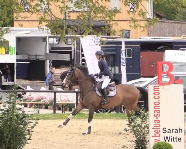 Dressur- und Springturnier Halver 2015