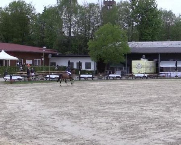 Dressur- und Springturnier Halver 2015