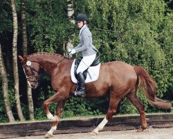 dressage horse Milow S (Westphalian, 2006, from Monte Bellini)