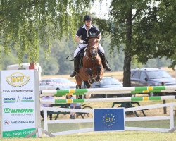 broodmare Dona's Little Lady H (German Sport Horse, 2005, from Littlefield)