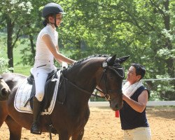 dressage horse Sunny's Sunshine (Rhinelander, 2009, from Sunny-Boy)