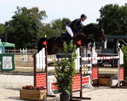 broodmare Celine (Oldenburg show jumper, 2008, from Carenzo)