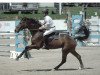 jumper Chestello (Hanoverian, 2004, from Contendro I)