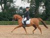 dressage horse Belisaro (German Riding Pony, 2011, from Best Boy)