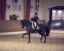 dressage horse Reality Dream 8 (Westphalian, 2006, from Riccio)